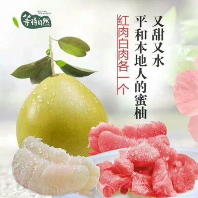 湖北宜昌秭歸縣柚子 沙田柚批發市場探析，0.60元/斤的價格優勢與品質保障